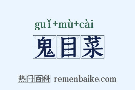 鬼目菜是什么意思的图片